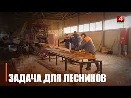 Гомельское ГПЛХО заняло II место в стране по итогам 2024 года