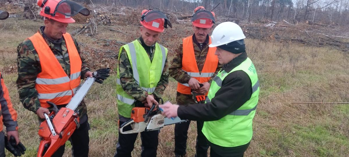 При разработке ветровально-буреломных лесосек – максимум внимания