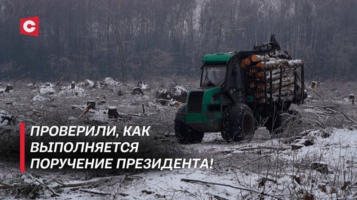 Беларусь восстанавливается до сих пор ликвидация последствий июльского урагана