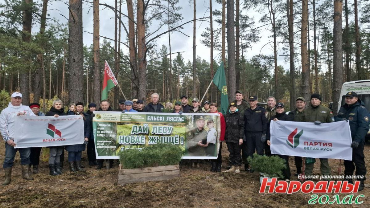 С радостью и энергией взялись за посадку леса в Кочищанском лесничестве! 
