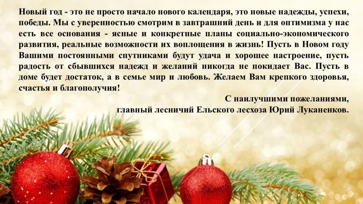 Новогоднее поздравление от главного лесничего Ельского лесхоза