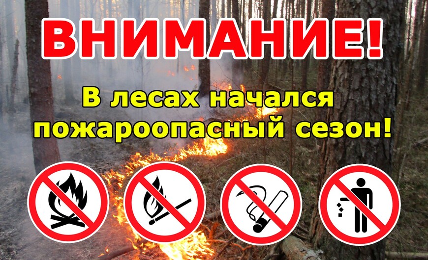 Ельский лесхоз информирует местных жителей и наших гостей о начале пожароопасного сезона.