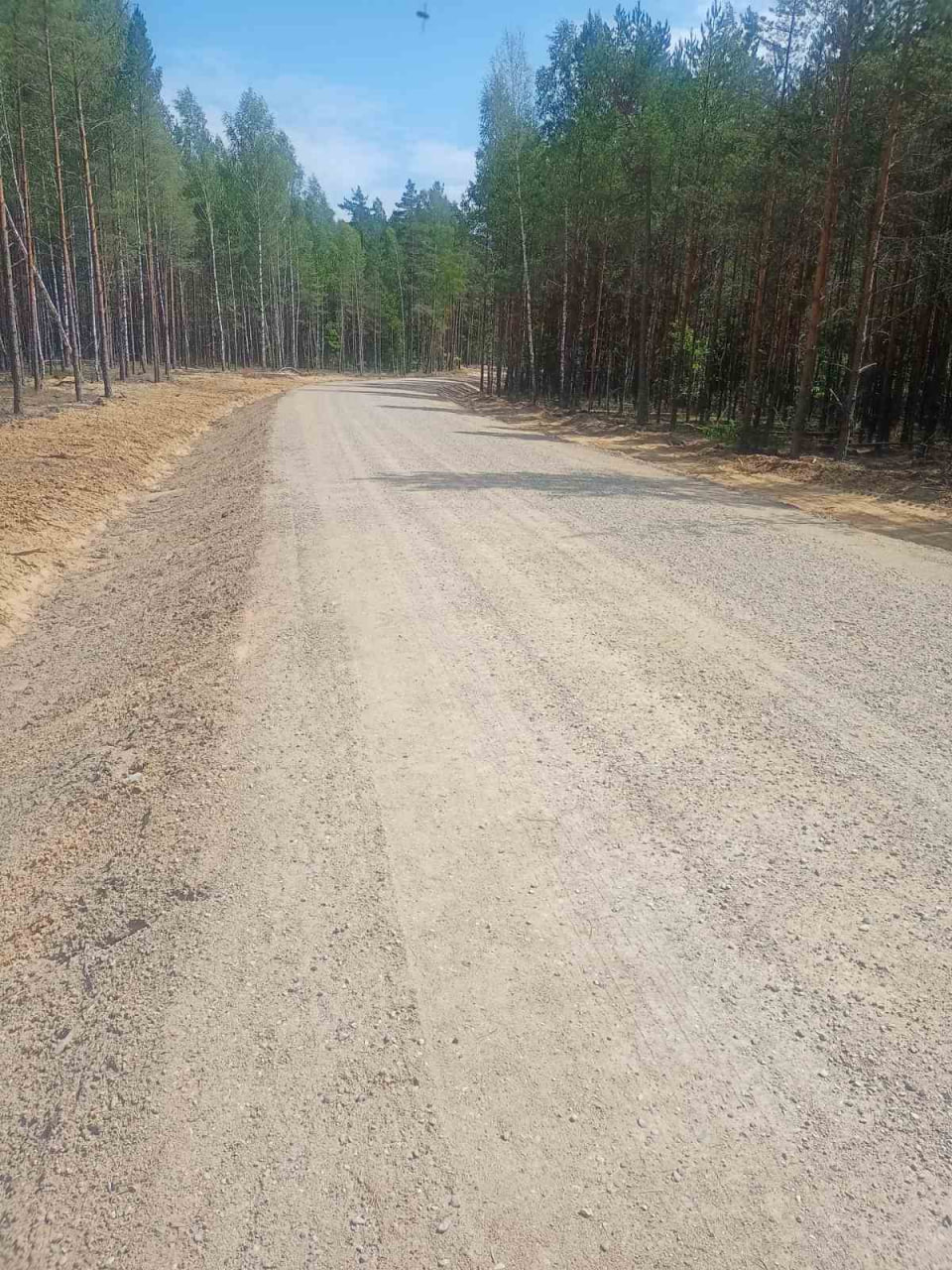 Поручение Президента выполнено! Организации отрасли построили более 100 км лесохозяйственных дорог